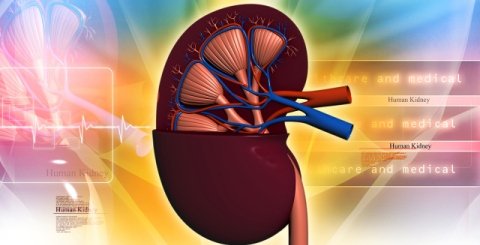 Kidney Dialysis